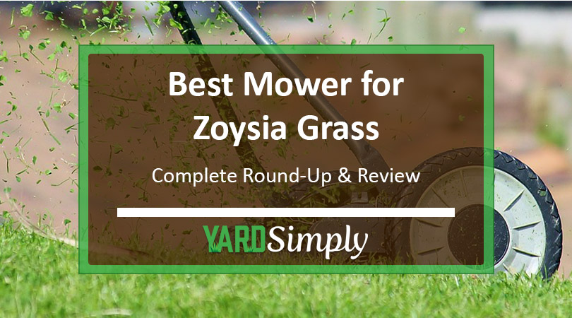 Best Mower for Zoysia Grass