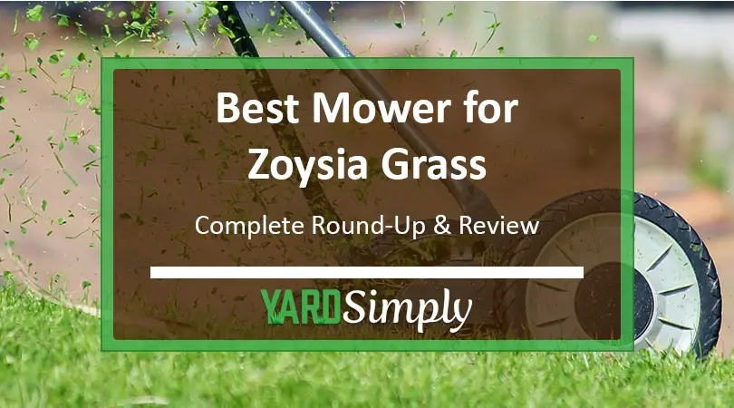Best Mower for Zoysia Grass